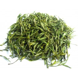 Sencha