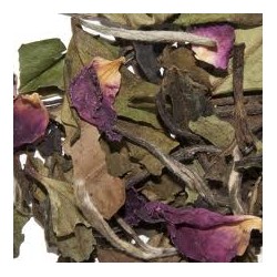 Pai Mu Tan Granada Tea (nuevo)