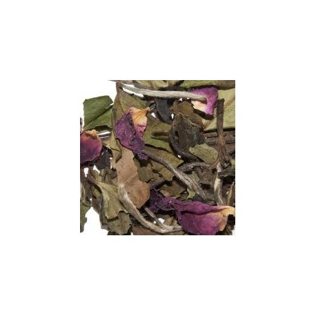 Pai Mu Tan Granada Tea (nuevo)