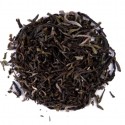 India Darjeelin Kaley Valley S.F.T.G.F.O.P.